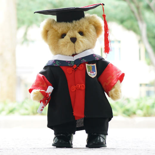 南医学位服泰迪熊 商品图1