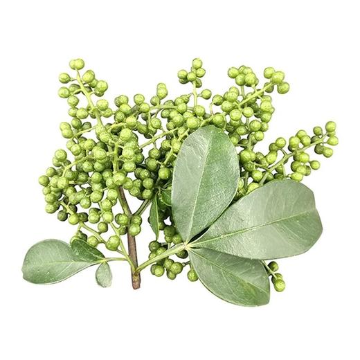 350g 保鲜青花椒生花椒【C+/2C8下-1C】【厨家亲】 商品图2