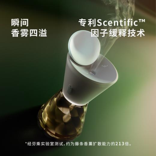 D-FC-SH0696/0697/0698/0699 芬乘扩香仪 香氛 商品图1