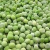 1kg楚中速冻青豆粒 【云仓B+/ 1B4下-6E】 商品缩略图1
