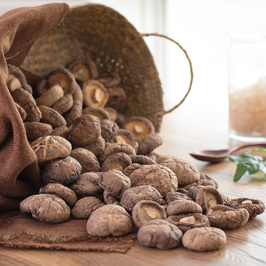 宜昌 秭归县高山香菇500g【真空包装】 商品图3