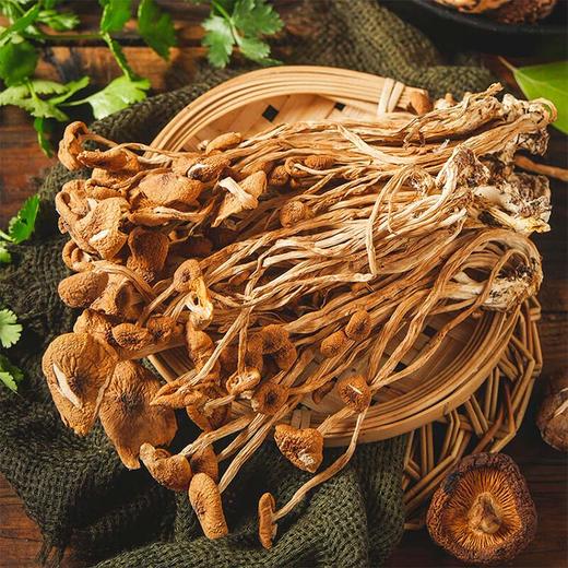 鑫勇泰 农家茶树菇250g 宜昌秭归 商品图1