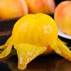 【严选】松滋黄金蜜黄桃5-6斤左右普盒（厂家直发） 商品缩略图2