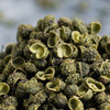 鑫勇泰 高山农家花椒250g/袋 宜昌秭归 商品缩略图6