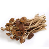 鑫勇泰 农家茶树菇250g 宜昌秭归 商品缩略图3