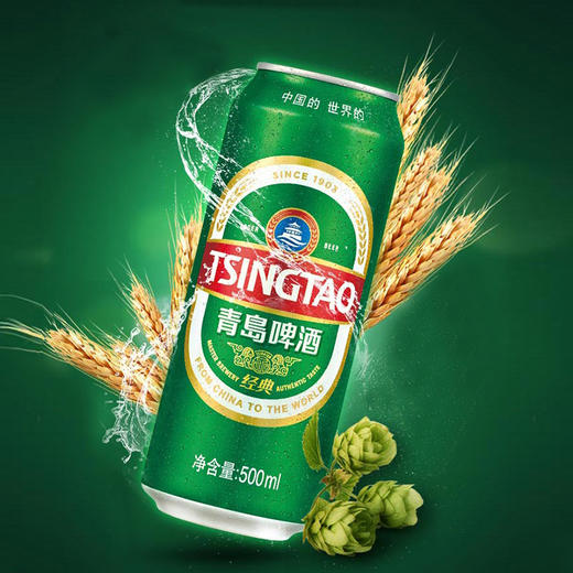 青岛啤酒听装（500ml) 商品图1