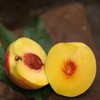 【严选】三湖锦绣黄桃现摘现发统果带箱9.8斤左右/箱  （基地直发） 商品缩略图5