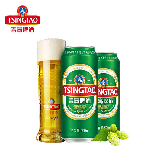 青岛啤酒听装（500ml) 商品图3