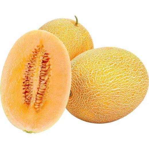 黄金哈密瓜 （5.38元1斤，约4-5斤/个） 商品图0