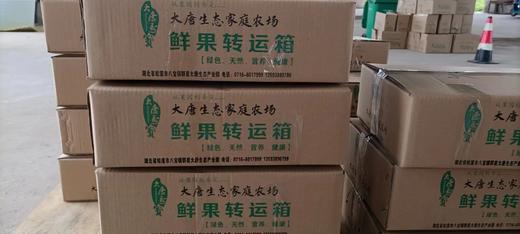 【严选】松滋黄金蜜黄桃5-6斤左右普盒（厂家直发） 商品图6