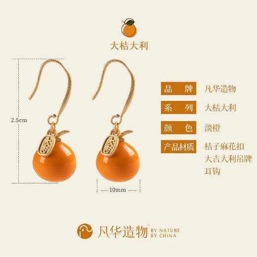 凡华造物大桔大利耳环女小众设计925银耳钉春夏时尚高级耳环大桔大利耳环 商品图5
