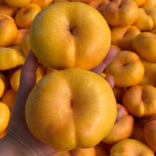 【秒杀】沂蒙山彩虹油蟠桃3斤装（约7-12个） 商品图3