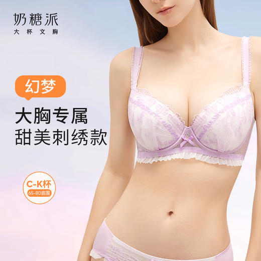 【买三免一】奶糖派大胸显大经典刺绣蕾丝幻梦内衣上托聚拢挺拔饱满甜美文胸女 商品图0