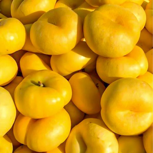 【秒杀】沂蒙山彩虹油蟠桃3斤装（约7-12个） 商品图1