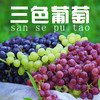 新疆三拼葡萄（无核白+玻璃翠+无核紫） 商品缩略图0