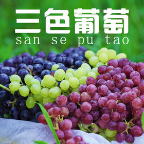 新疆三拼葡萄（无核白+玻璃翠+无核紫）