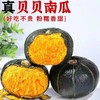 绿源禾心有机贝贝南瓜2.5kg/份 商品缩略图0
