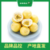 PAGODA百果园 黄金百香果5斤彩箱装（中果，单果重60g-70g） 商品缩略图1