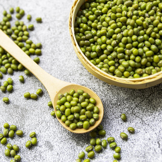 鑫勇泰 三峡农家绿豆900g 宜昌秭归 商品图3