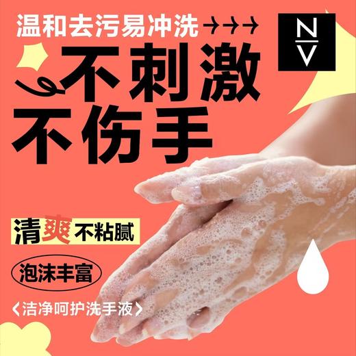 NV每尖严选洁净呵护洗手液500ml 商品图2