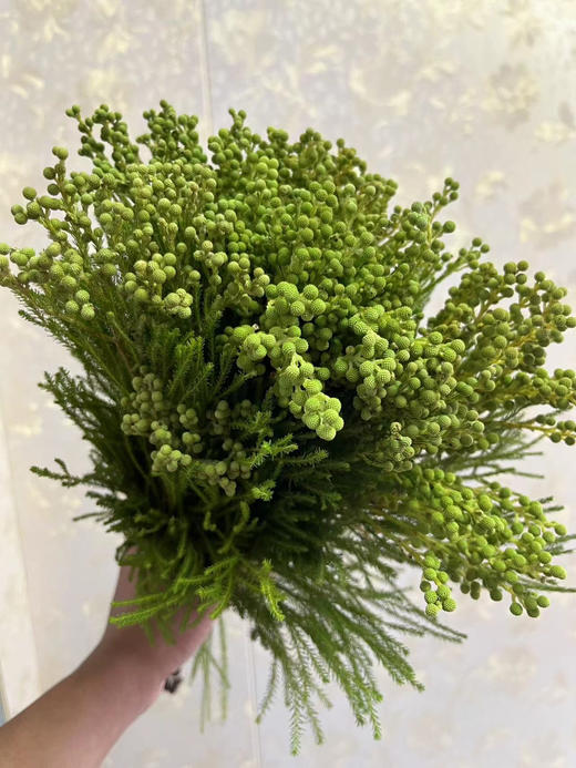【美满/丰收/幸福】珊瑚果 绿色（小果）若干枝/扎 商品图6