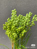 【美满/丰收/幸福】珊瑚果 绿色（小果）若干枝/扎 商品缩略图1