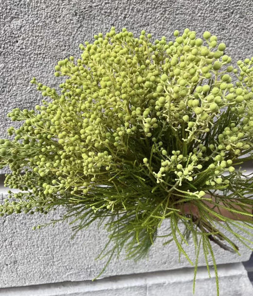 【美满/丰收/幸福】珊瑚果 绿色（小果）若干枝/扎 商品图3