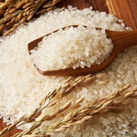 【25年12月到期介意慎拍】中粮初萃雪乡生态大米5kg 商品图1