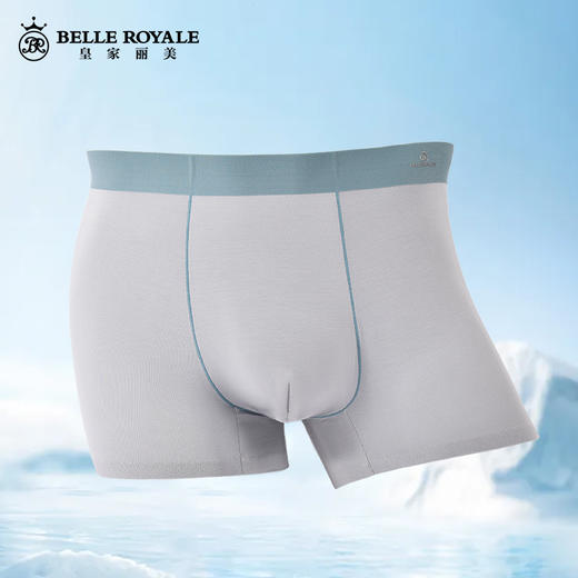 新款品质男士内裤男生简约纯色天然纤维四角裤高端无痕平角短裤头DKN1156 商品图4
