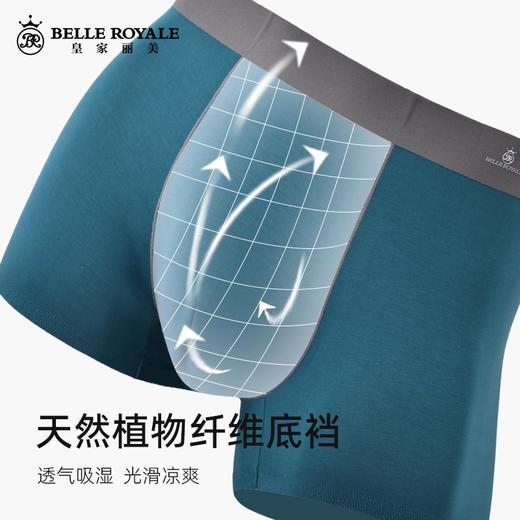 新款品质男士内裤男生简约纯色天然纤维四角裤高端无痕平角短裤头DKN1156 商品图2