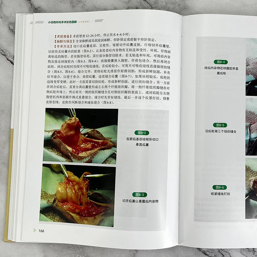 小动物外科手术彩色图解 商品图8