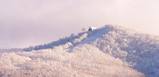 【23/24雪季 春节假期】·【二世古&留寿都】2月8日-14日，7天6晚，滑进滑出畅滑北海道 商品图0