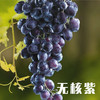 新疆三拼葡萄（无核白+玻璃翠+无核紫） 商品缩略图1