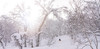 【23/24雪季 春节假期】·【二世古&留寿都】2月8日-14日，7天6晚，滑进滑出畅滑北海道 商品缩略图1
