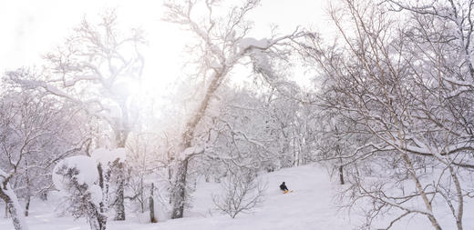 【23/24雪季 春节假期】·【二世古&留寿都】2月8日-14日，7天6晚，滑进滑出畅滑北海道 商品图1