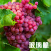 新疆三拼葡萄（无核白+玻璃翠+无核紫） 商品缩略图2
