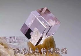 【南京】晶莹剔透的宝石