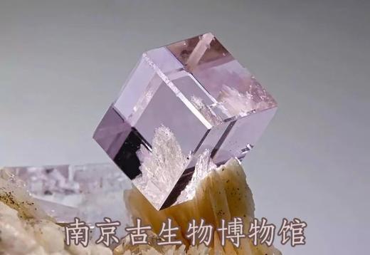 【南京】晶莹剔透的宝石 商品图0