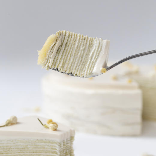 千层家族｜茉莉千层 商品图7