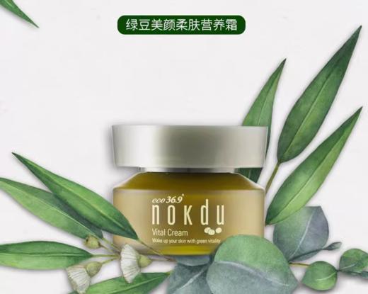 高丽雅娜绿豆美颜柔肤营养霜 商品图1