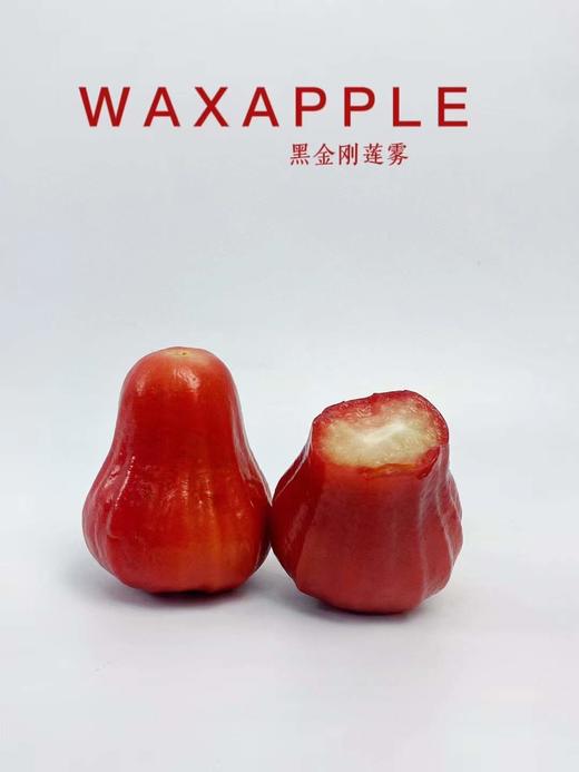 限时秒杀 .黑金刚特级 莲雾 |汁多清甜，糖尿病人也好吃的水果 商品图0