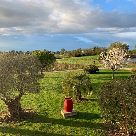 酩颂酒庄干白葡萄酒2018年 Château Mongiron Blanc 2018 商品图2