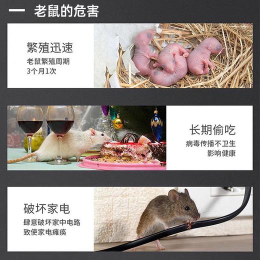 强力粘鼠贴（小金牛）1张 商品图2