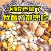 强力粘鼠贴（小金牛）1张 商品缩略图3