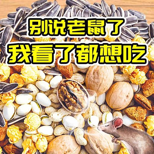 强力粘鼠贴（小金牛）1张 商品图3