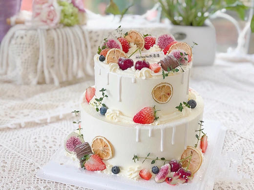 桃李芙蓉 商品图0