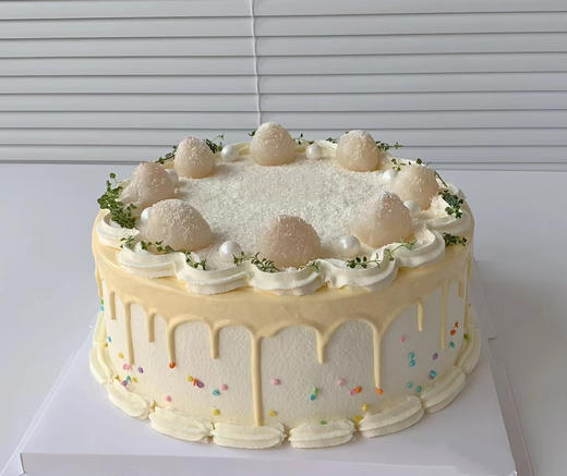 海月明珠 商品图0