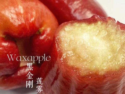 限时秒杀 .黑金刚特级 莲雾 |汁多清甜，糖尿病人也好吃的水果 商品图1