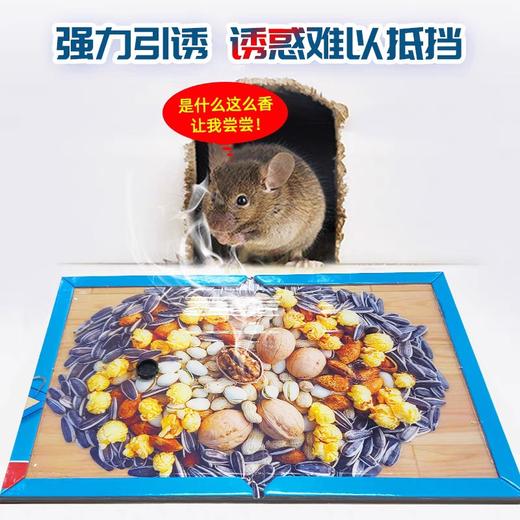 强力粘鼠贴（小金牛）1张 商品图1