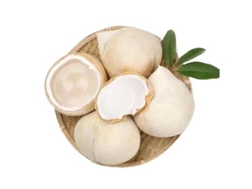 泰国椰皇 商品图0